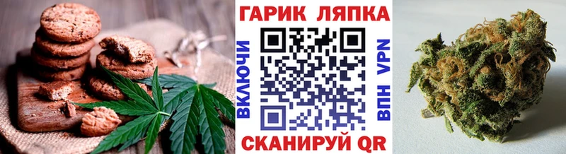 цены наркотик  Кузнецк  МЕГА ссылка  Cannafood марихуана 