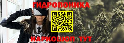 спиды Краснодар