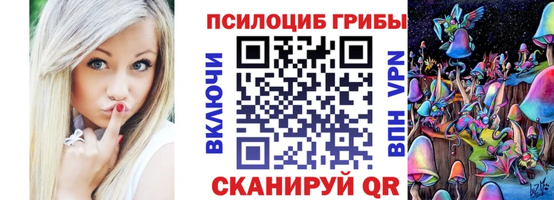 Псилоцибиновые грибы GOLDEN TEACHER купить цена Кузнецк