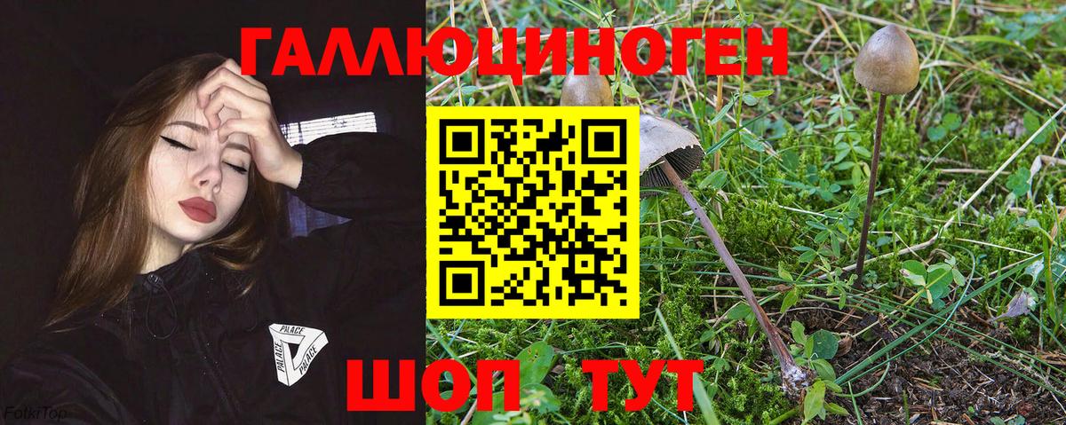 Галлюциногенные грибы прущие грибы  магазин продажи наркотиков  Кузнецк  Псилоцибиновые грибы мицелий  Вход с VPN 